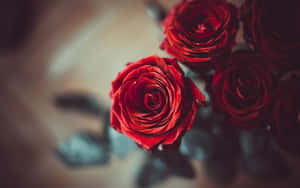 A Bouquet Of Red Roses For Valentine's Day Wallpaper