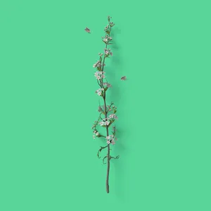 A Branch With Flowers On A Green Background Wallpaper