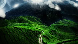 A Breathtaking Display Of Fireworks Over A City Skyline During Twilight Wallpaper