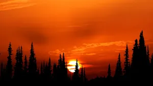 A Breathtaking Orange Sunset Wallpaper