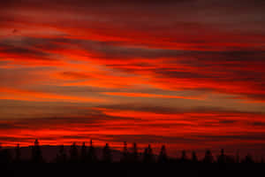 A Breathtaking Red Sunset Over The Horizon Wallpaper