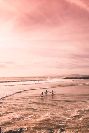 A Breathtaking Summer Sunset Over A Bright Pink Sea Wallpaper