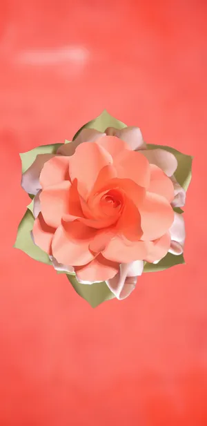 A Breathtaking View Of A Dense Forest Early In The Morning Wallpaper