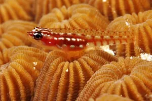 A Breathtaking View Of A Pristine Mountain Landscape Wallpaper