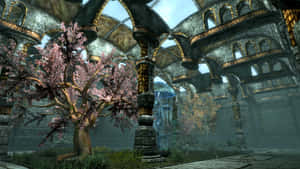 A Breathtaking View Of Solitude, The Majestic Capital City Of Skyrim Wallpaper