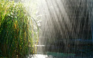 A Breathtaking View Of Spring Rain Gently Falling On Vibrant Green Fields And Plush Foliage Wallpaper