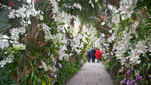 A Breathtaking View Of The New York Botanical Garden Wallpaper