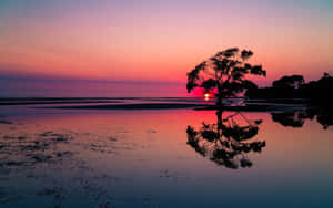 A Breathtaking View Of The Pristine Australian Beach During Sunset Wallpaper