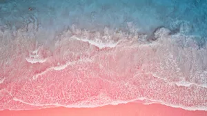 A Breathtaking View Of The Stunning Pink Sand Beach Wallpaper