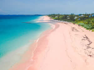 A Breathtaking View Of The Unique Pink Sand Beach Wallpaper