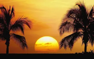 A Breathtaking View Of Yellow Beach With Golden Sands And Crystal-clear Water Wallpaper