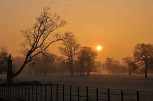 A Breathtaking Winter Sunset Wallpaper