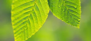 A Breathtakingly Beautiful Sky Sunset Wallpaper