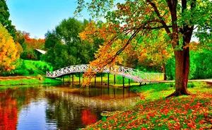 A Bridge Over A Pond With Colorful Leaves Wallpaper