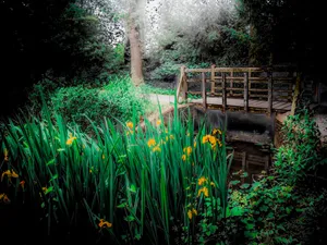 A Bright, 3d Lattice Pattern Of Vibrant Colors And Shapes Wallpaper