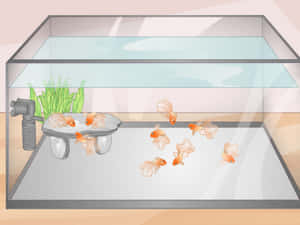 A Bright And Vibrant Aquarium Fish Tank Wallpaper