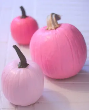 A Bright Pink Pumpkin Provides The Perfect Autumnal Decor Wallpaper