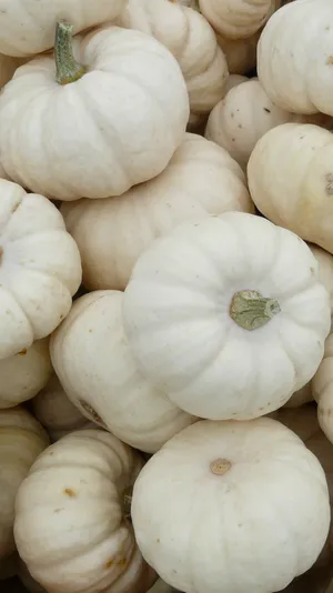 A Bright, Sunny Day Wallpaper