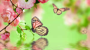 A Bright, Yellow Butterfly Fluttering In A Sunlit Garden Wallpaper