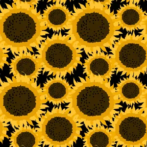 A Bright Yellow Sunflower Brings Summer Joy Wallpaper