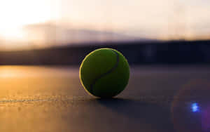 A Brightly Colored Tennis Ball On A Fresh White Background. Wallpaper