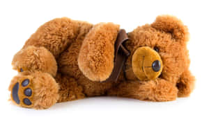 A Brown Teddy Bear Wallpaper
