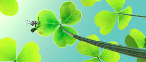 A Bug's Life Dot Clover Wallpaper