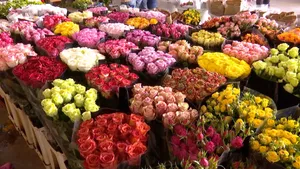 A Bustling Flower Market Filled With Vibrant Blooms Wallpaper