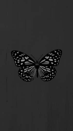A Butterfly Is Shown On A Black Background Wallpaper