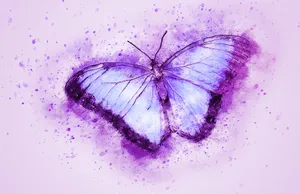 A Butterfly Transformation Of Art Wallpaper