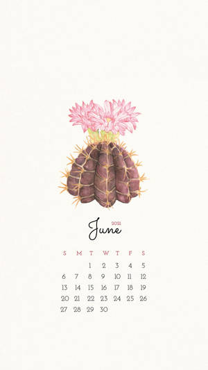 A Calendar With A Cactus On It Wallpaper