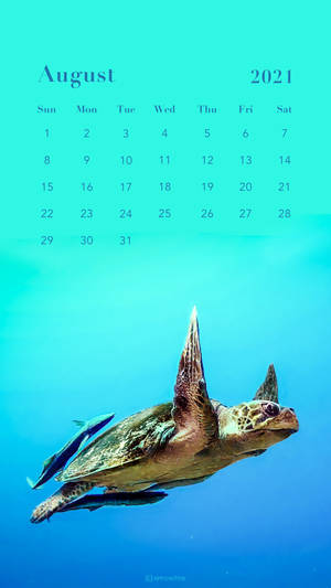 A Calendar With A Turtle Swimming In The Ocean Wallpaper