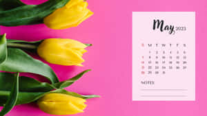 A Calendar With Yellow Tulips On A Pink Background Wallpaper