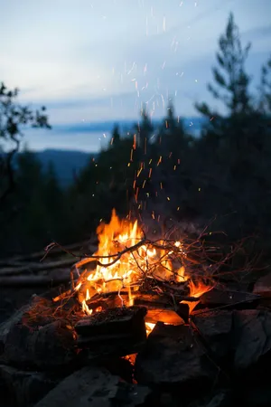 A Campfire Is Burning In The Woods Wallpaper