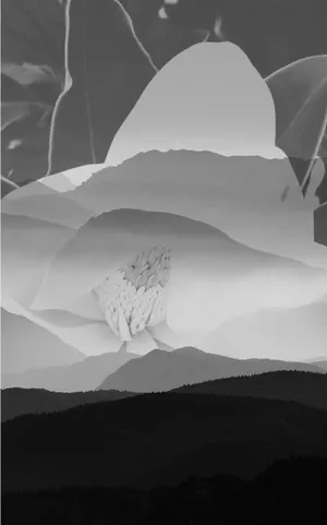 A Captivating Black And White Photo Collage Wallpaper