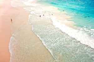 A Captivating Moment At Pink Sand Beach Wallpaper