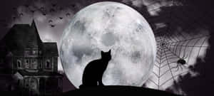 A Cat Sits On A Hill In Front Of A Full Moon Wallpaper