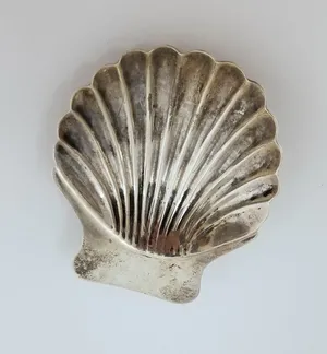 A Clam Shell Shining In The Sun Wallpaper