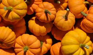 A Classic Computer Monitor Wallpaper