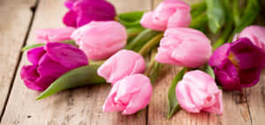 A Clear Blue Ocean Under The Sun Wallpaper