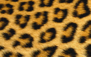 A Close Up Of A Leopard Print Wallpaper