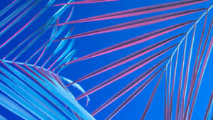 A Close Up Of Palm Leaves Against A Blue Sky Wallpaper