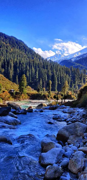 A Close-up Of The Moon's Surface. Wallpaper