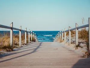 A Close-up Shot Of A Beautiful Pink Lily Wallpaper