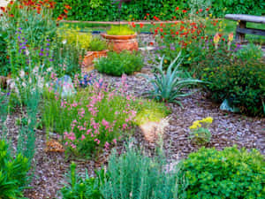 A Close-up View Of Blue Grass Wallpaper