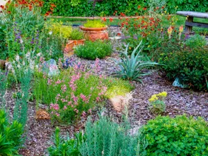 A Close-up View Of Blue Grass Wallpaper