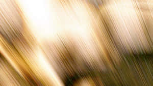 A Closer Look At Brown And White Wallpaper