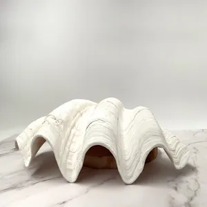 A Closeup Of A Clam Shell On A Sandy Beach. Wallpaper