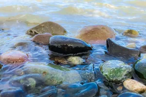 A Closeup Of A Sunflower In Full Bloom Wallpaper