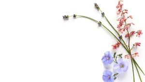 A Cloudy Sky In The Horizon Wallpaper